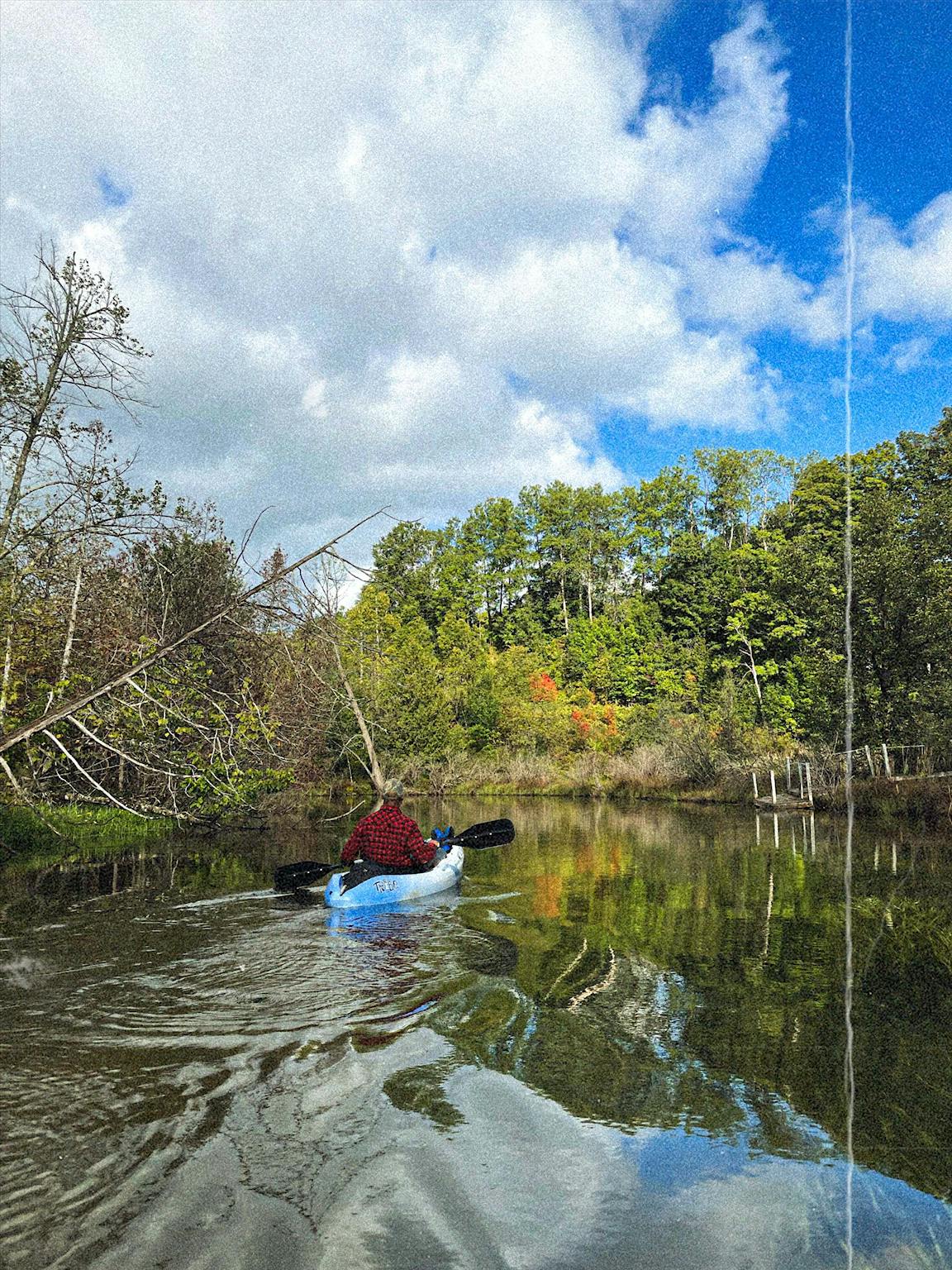 A kayak in a wooded river.